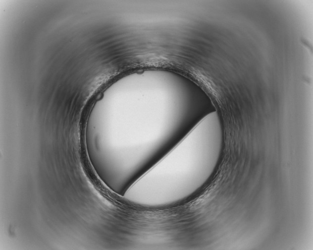 X0000094230630200710261014