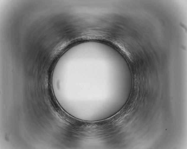 X0000094230631200710261014