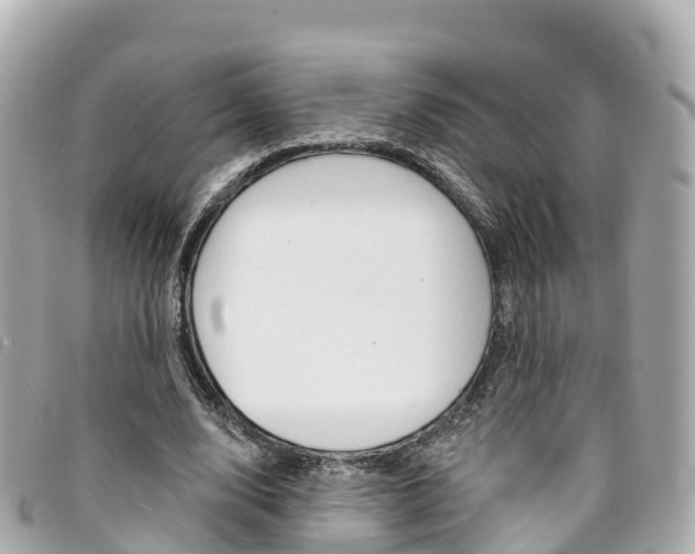 X0000094230632200710261014