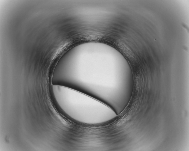 X0000094230634200710261014