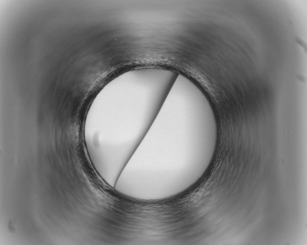 X0000094230636200710261014