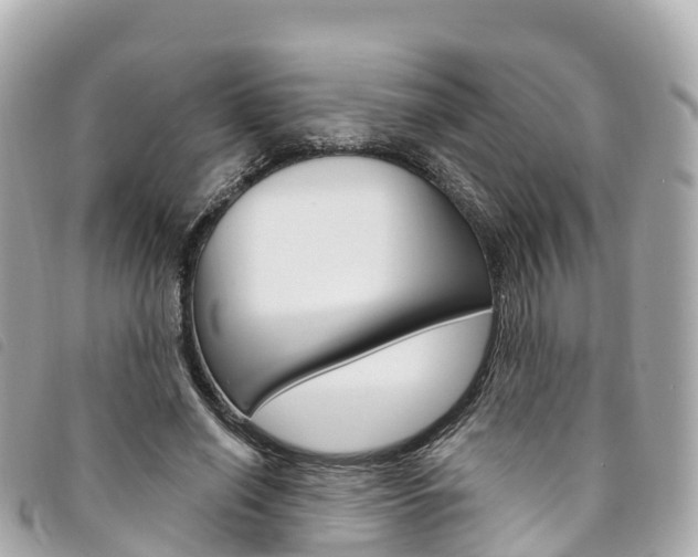 X0000094230638200710261014
