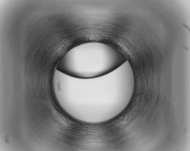 X0000094230639200710261014