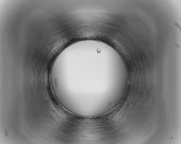 X0000094230640200710261014