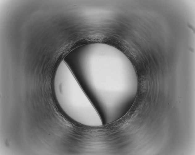 X0000094230641200710261014