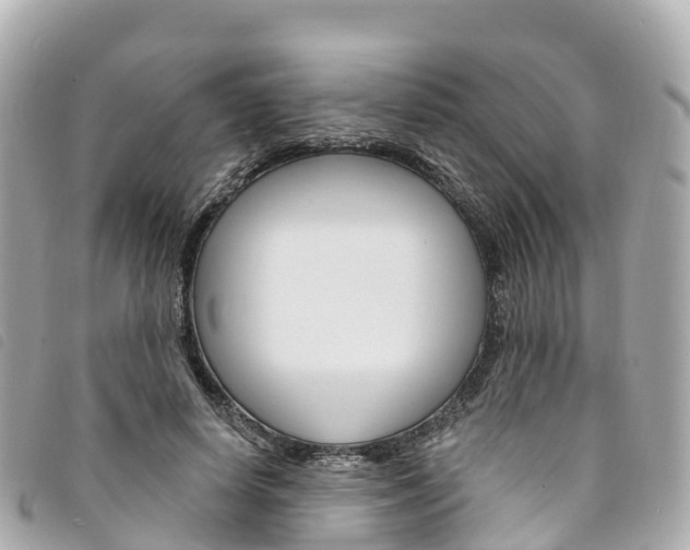 X0000094230642200710261014