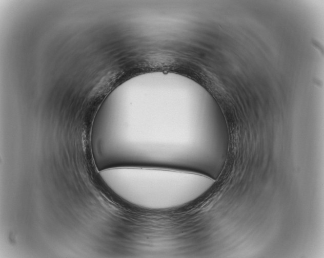 X0000094230644200710261014