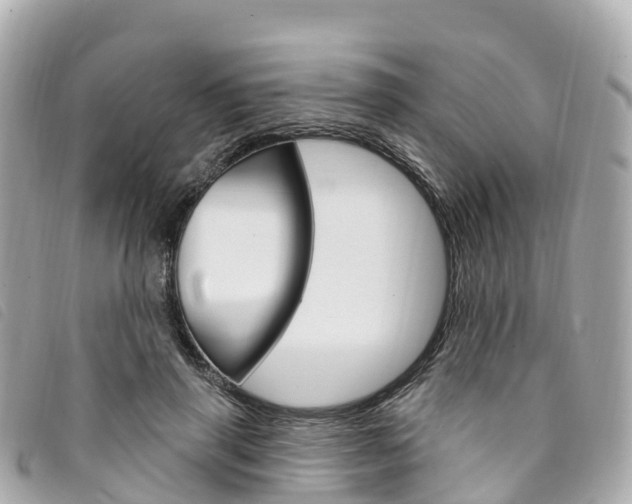 X0000094230645200710261014