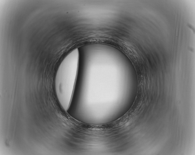 X0000094230649200710261014
