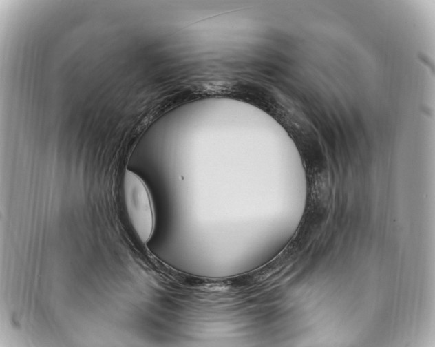 X0000094230651200710261014