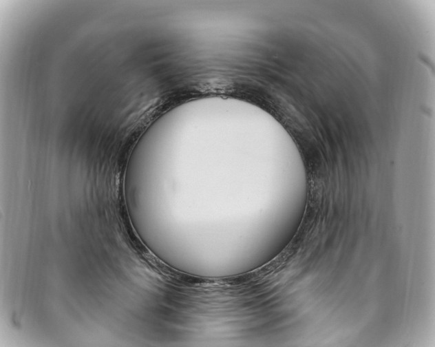 X0000094230652200710261014
