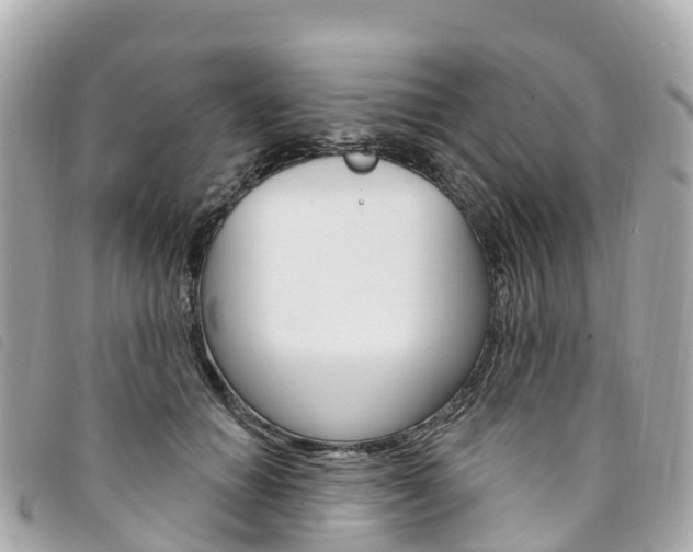 X0000094230654200710261014