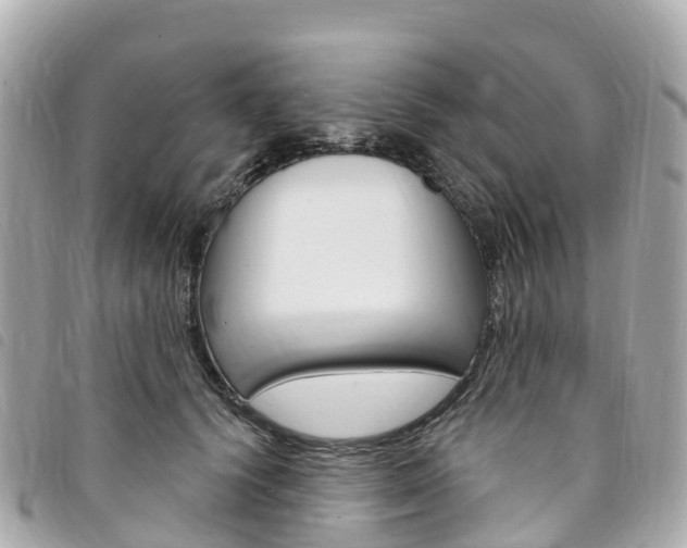 X0000094230656200710261014