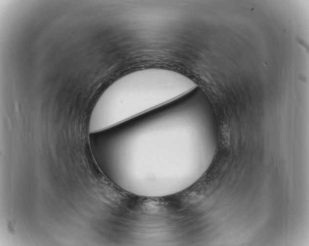 X0000094230657200710261014
