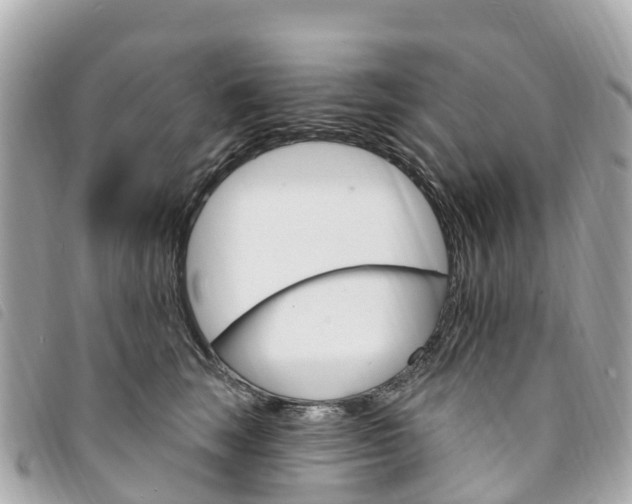 X0000094230663200710261015