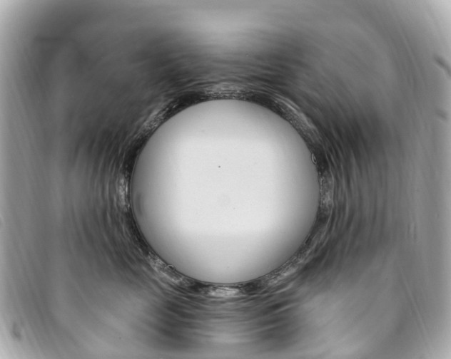 X0000094230669200710261015