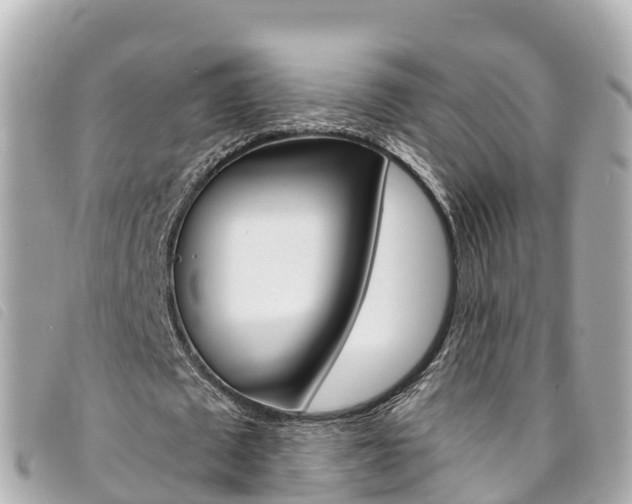 X0000094230673200710261014