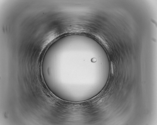X0000094230675200710261014