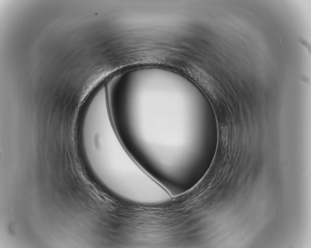 X0000094230676200710261014
