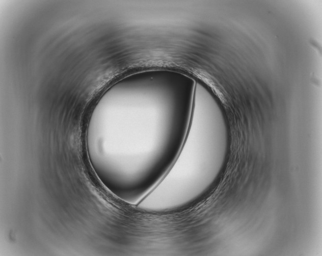 X0000094230677200710261014