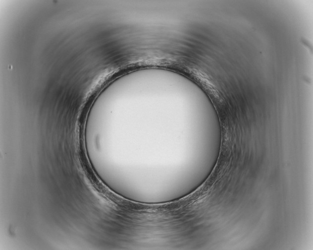 X0000094230678200710261014