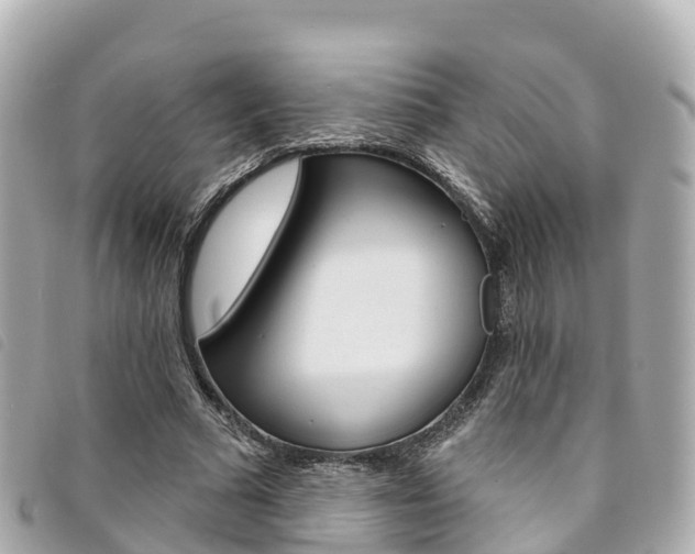 X0000094230681200710261014