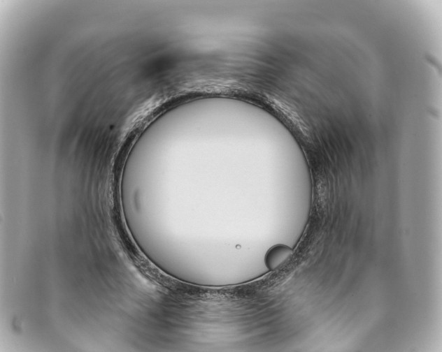 X0000094230682200710261014