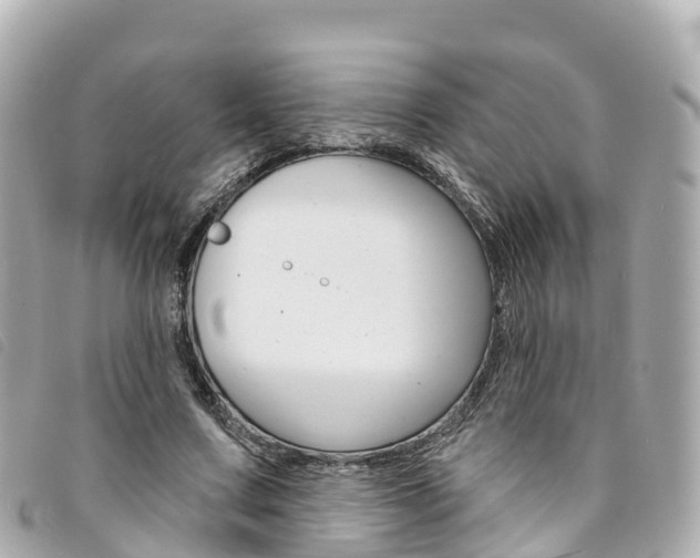 X0000094230683200710261014