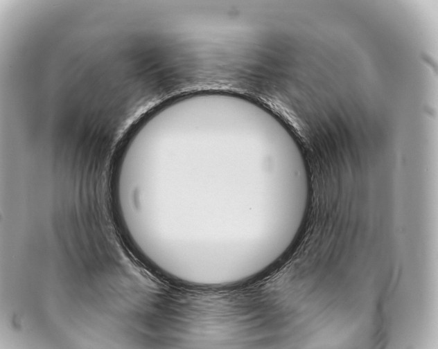 X0000094230684200710261014