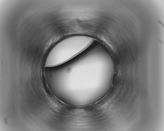 X0000094230685200710261014
