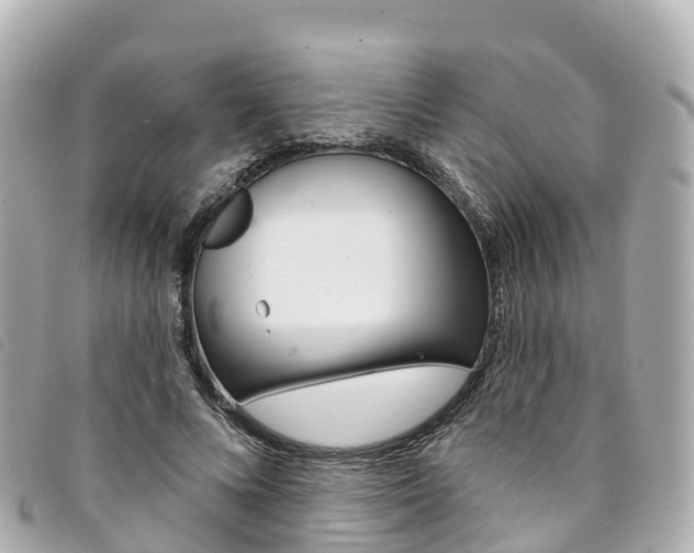 X0000094230688200710261014