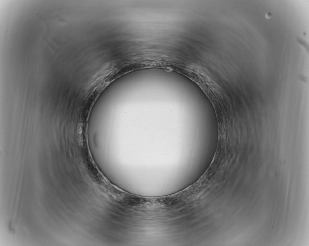 X0000094230696200710261014