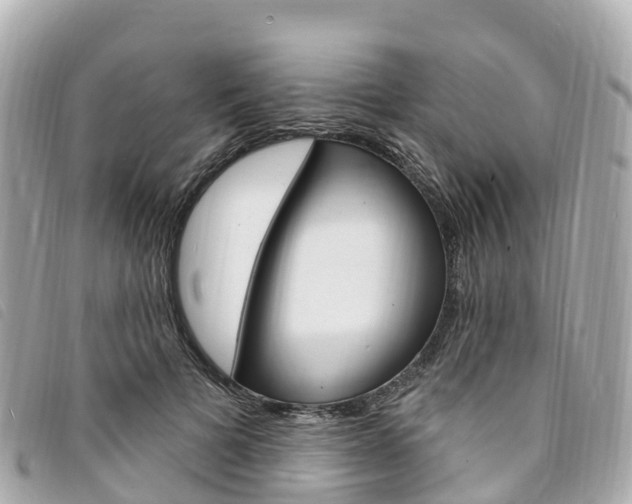 X0000094230697200710261014