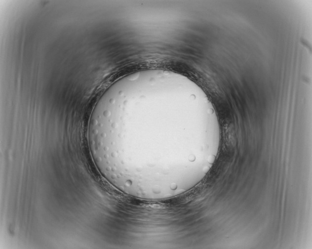 X0000094230698200710261014