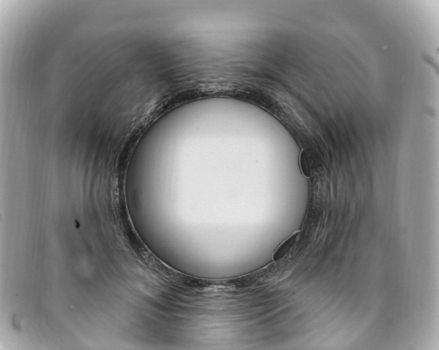 X0000094230700200710261014