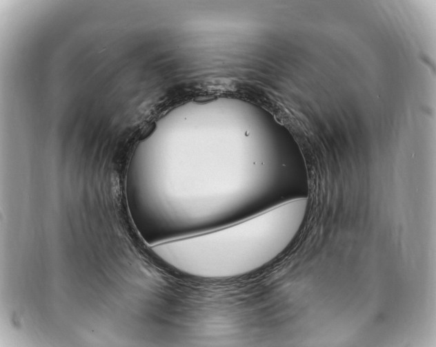 X0000094230704200710261014