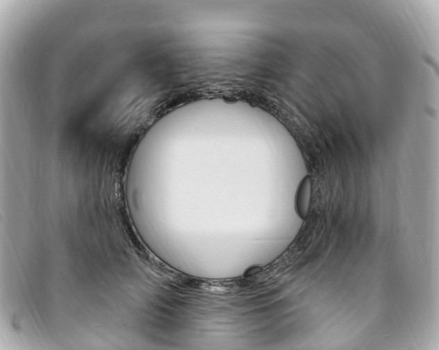 X0000094230706200710261014
