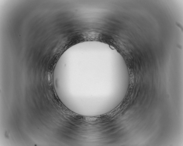 X0000094230709200710261014