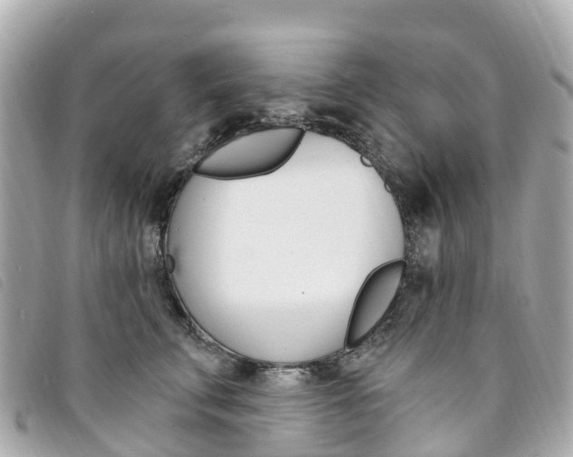 X0000094230711200710261014