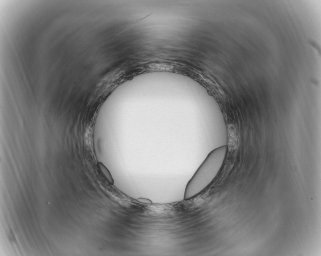 X0000094230713200710261014