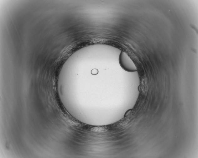 X0000094230714200710261014