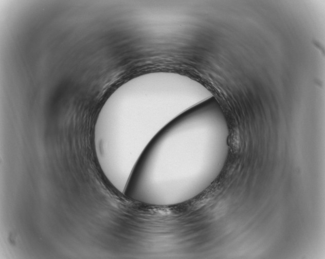 X0000094230715200710261014