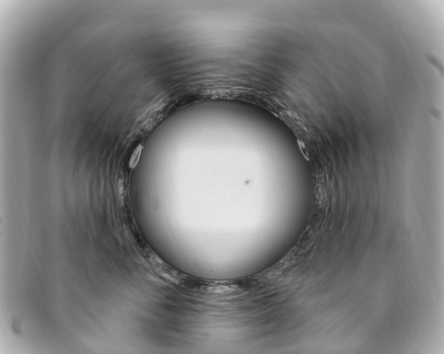 X0000094230716200710261014
