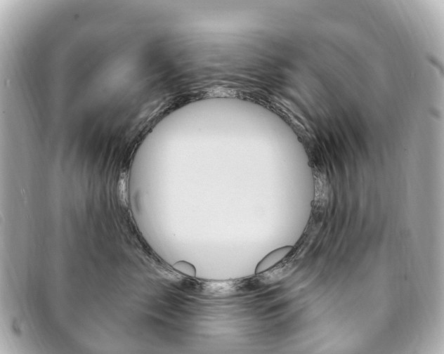 X0000094230717200710261014