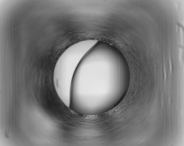 X0000094230720200710261013