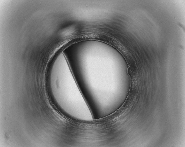 X0000094230722200710261013
