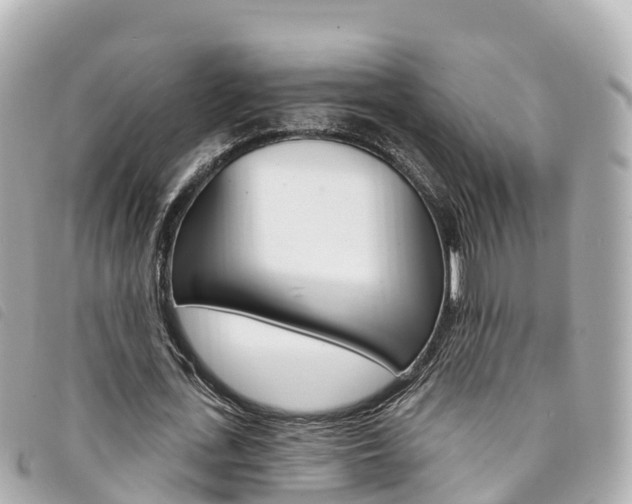X0000094230723200710261013