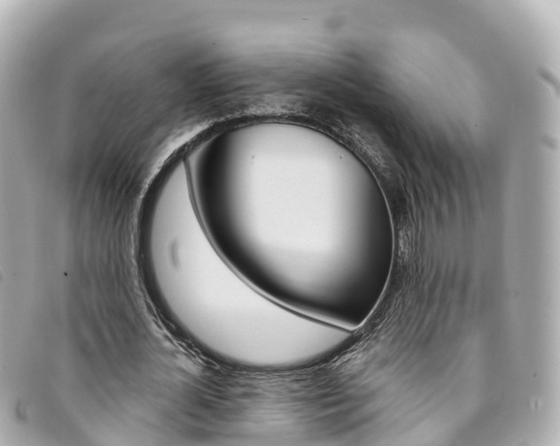 X0000094230724200710261013
