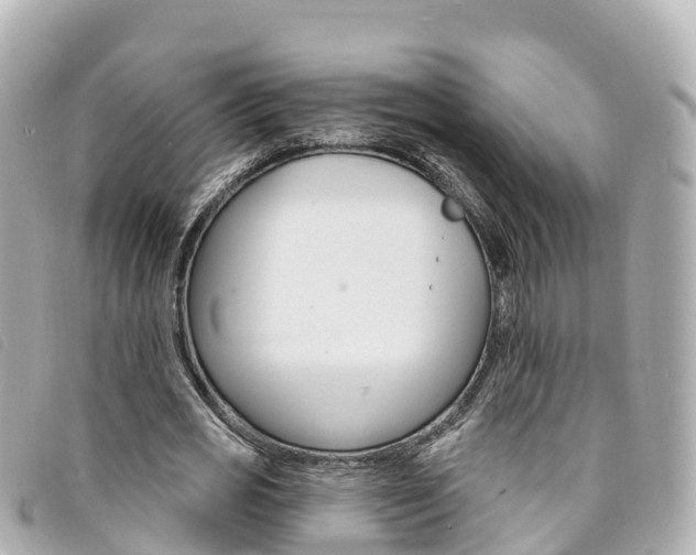 X0000094230725200710261013