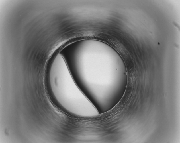 X0000094230728200710261013